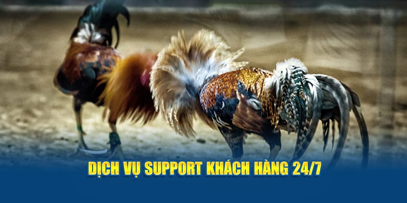 Jun88 - Nhà Cái Đá Gà Uy Tín, Chất Lượng Top 1 Việt Nam 2024 4 Hệ thống giúp đỡ khách hàng tận tình
